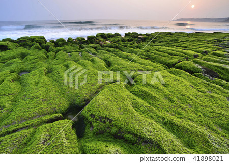 老梅綠石槽-北海岸及觀音山國家風景區 老梅綠石槽-北海岸及觀音山國家風景區 41898021