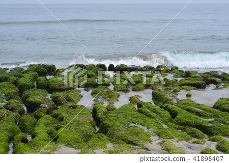 Old Meilu Green Trough - North Coast and Guanyinshan National Scenic Area 41898407