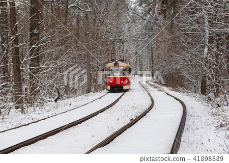 Tram in the forest Tram in the forest 41898889