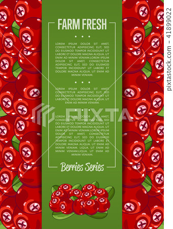 Farm fresh berry banner with juicy cranberry 41899022