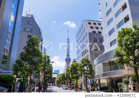 Shiba Daimon的風景 41899071