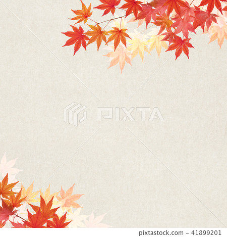 Japanese - Background - Autumn - autumn leaves Japanese - Background - Autumn - autumn leaves 41899201