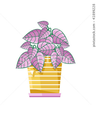 Plant growing in pot icon Plant growing in pot icon 41899228