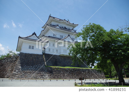 小田原城 41899231