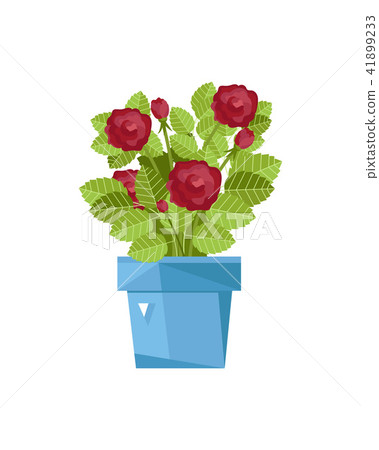 Spring flower in pot isolated icon Spring flower in pot isolated icon 41899233