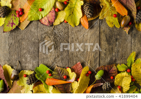Autumn leaves background Autumn leaves background 41899404