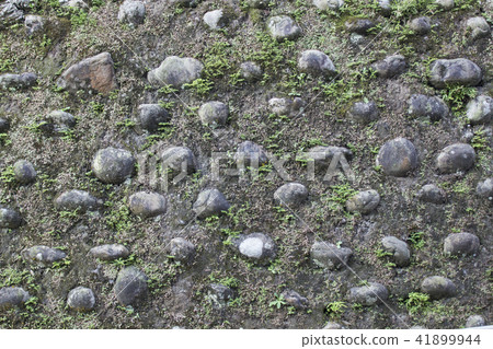 Stone wall wall with moss growing 41899944