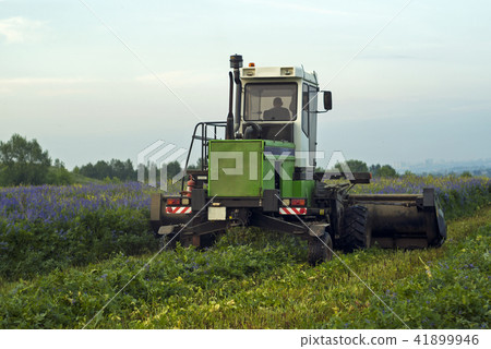 mechanical harvesting of livestock feed.. mechanical harvesting of livestock feed.. 41899946