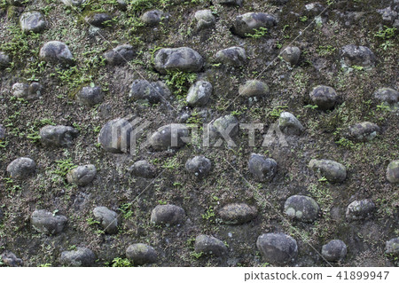 Stone wall wall with moss growing 41899947