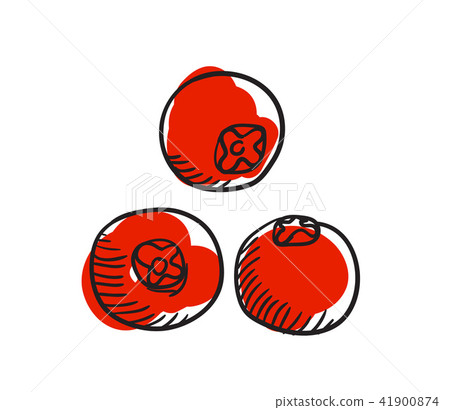 Ripe cranberries hand drawn isolated icon Ripe cranberries hand drawn isolated icon 41900874