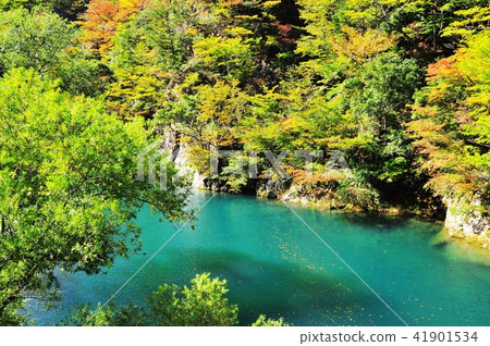 Autumn sized gorges 41901534