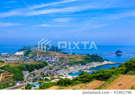 Minamikushiyama Tanabata（馬鈴薯田）[長崎縣雲仙市] 41901796