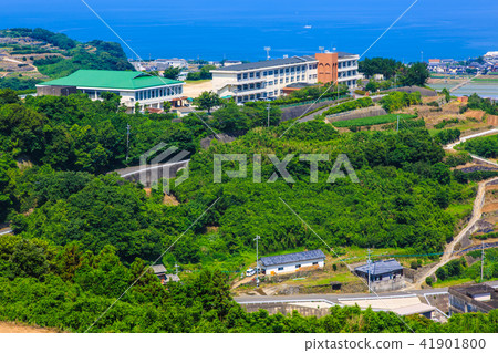 Minamikushiyama Tanabata（馬鈴薯田）[長崎縣雲仙市] 41901800