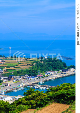 Minamikushiyama Tanabata (potato field) [Unzen City, Nagasaki Prefecture] 41901809