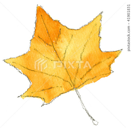 Autumn fallen leaves illustration-sycamore 41901831