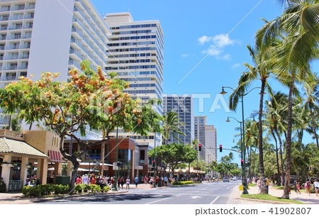 夏威夷威基基卡拉卡瓦大道 41902807