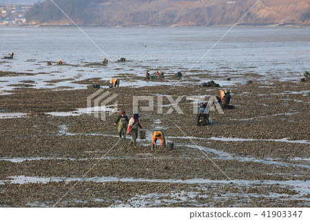 Woman only Woman only 41903347