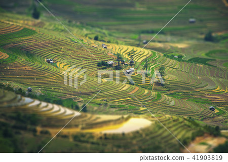Terraced fields in water season 41903819