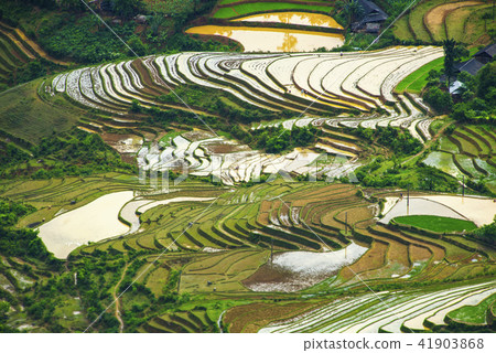 Terraced fields in water season 41903868