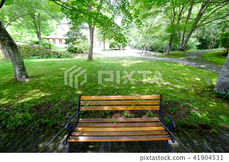 Bench and green 41904531