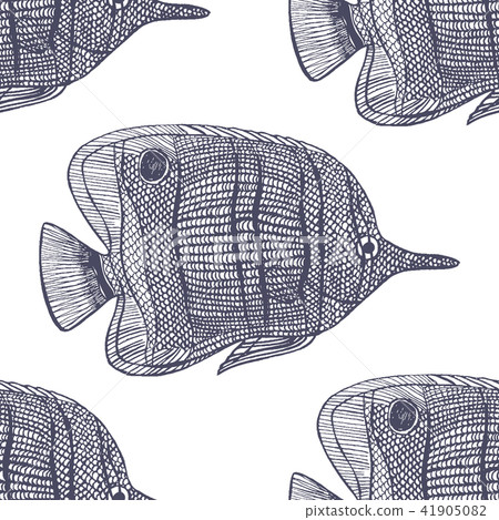 Chelmon Rostratus Pattern in Hand-Drawn Style 41905082