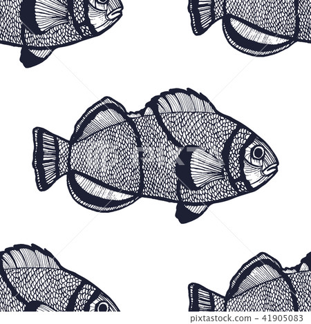Clown Fish Pattern in Hand-Drawn Style 41905083