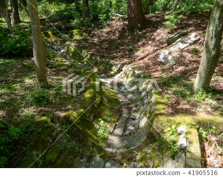 [Izu] Darumayama Plateau "Kiyose no Mori" stone canal [early summer] 41905516