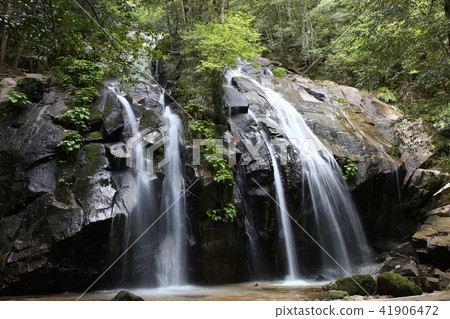 Kinou Falls (Kyoto) Kinou Falls (Kyoto) 41906472