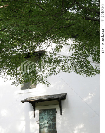 Landscape photo Building Building and maple Fresh green Early summer White wall and green leaf of maple leaf Window Refreshing Refreshing Landscape photo Building Building and maple Fresh green Early summer White wall and green leaf of maple leaf Window Refreshing Refreshing 41906736