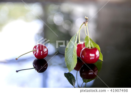 Fresh sweet cherries with leaves Fresh sweet cherries with leaves 41907498
