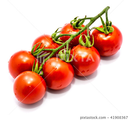 Red cherry tomatoe isolated Red cherry tomatoe isolated 41908367