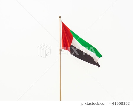 Flag of the United Arab Emirates. Dubai. 41908392