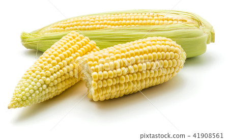 Fresh corn isolated on white Fresh corn isolated on white 41908561