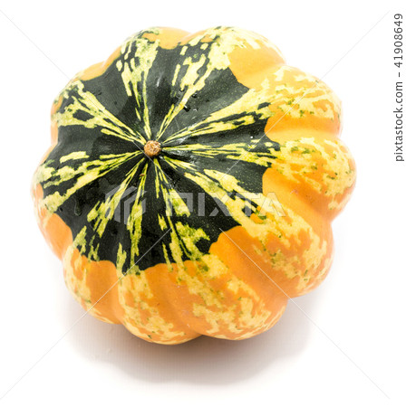 Green pumpkin isolated on white 41908649