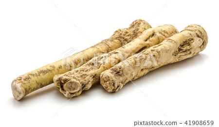 Fresh horseradish isolated on white Fresh horseradish isolated on white 41908659