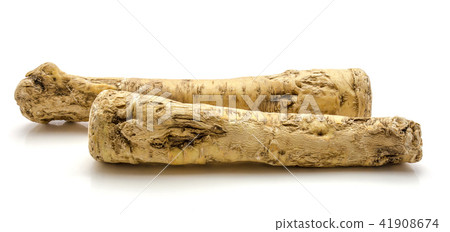Fresh horseradish isolated on white Fresh horseradish isolated on white 41908674