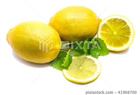 Fresh lemon and melissa isolated 41908700