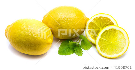 Fresh lemon and melissa isolated 41908701