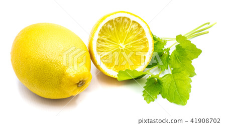Fresh lemon and melissa isolated 41908702