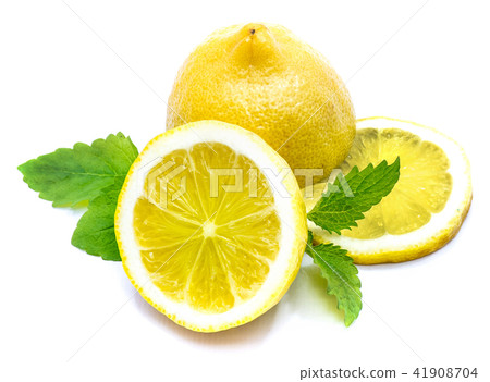 Fresh lemon and melissa isolated Fresh lemon and melissa isolated 41908704