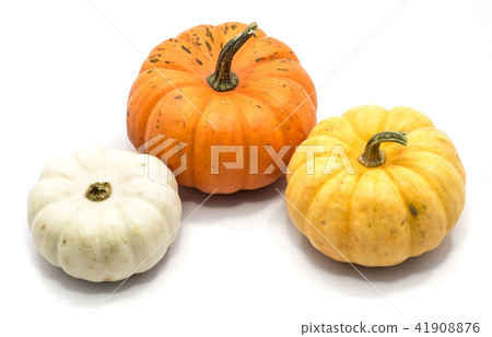 Mix of pumkpin isolated on white Mix of pumkpin isolated on white 41908876