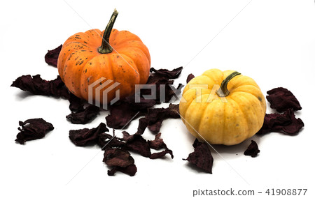 Mix of pumkpin isolated on white Mix of pumkpin isolated on white 41908877