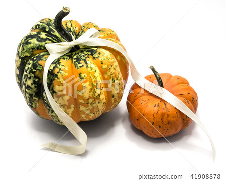 Mix of pumkpin isolated on white 41908878