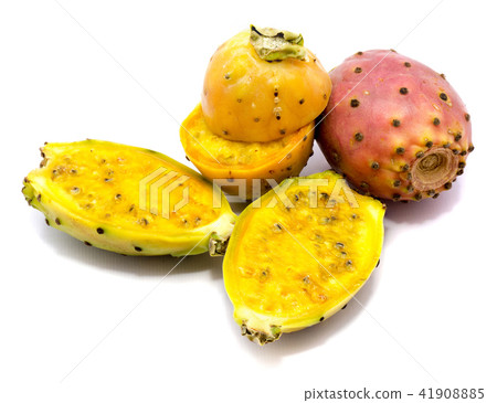 Fresh opuntia isolated on white Fresh opuntia isolated on white 41908885