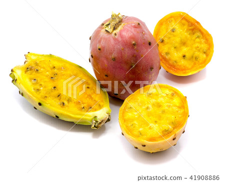 Fresh opuntia isolated on white Fresh opuntia isolated on white 41908886