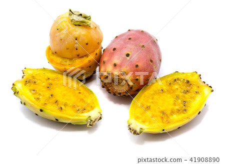 Fresh opuntia isolated on white Fresh opuntia isolated on white 41908890