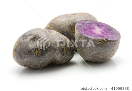 Fresh vitelotte potato isolated on white Fresh vitelotte potato isolated on white 41909288