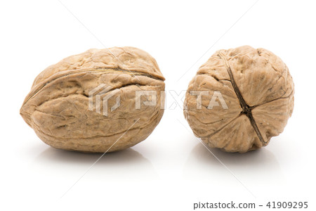 Raw walnut isolated on white 41909295