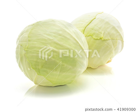Raw white cabbage isolated on white 41909300