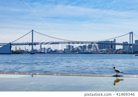 Rainbow bridge from Harumi Wharf 41909346